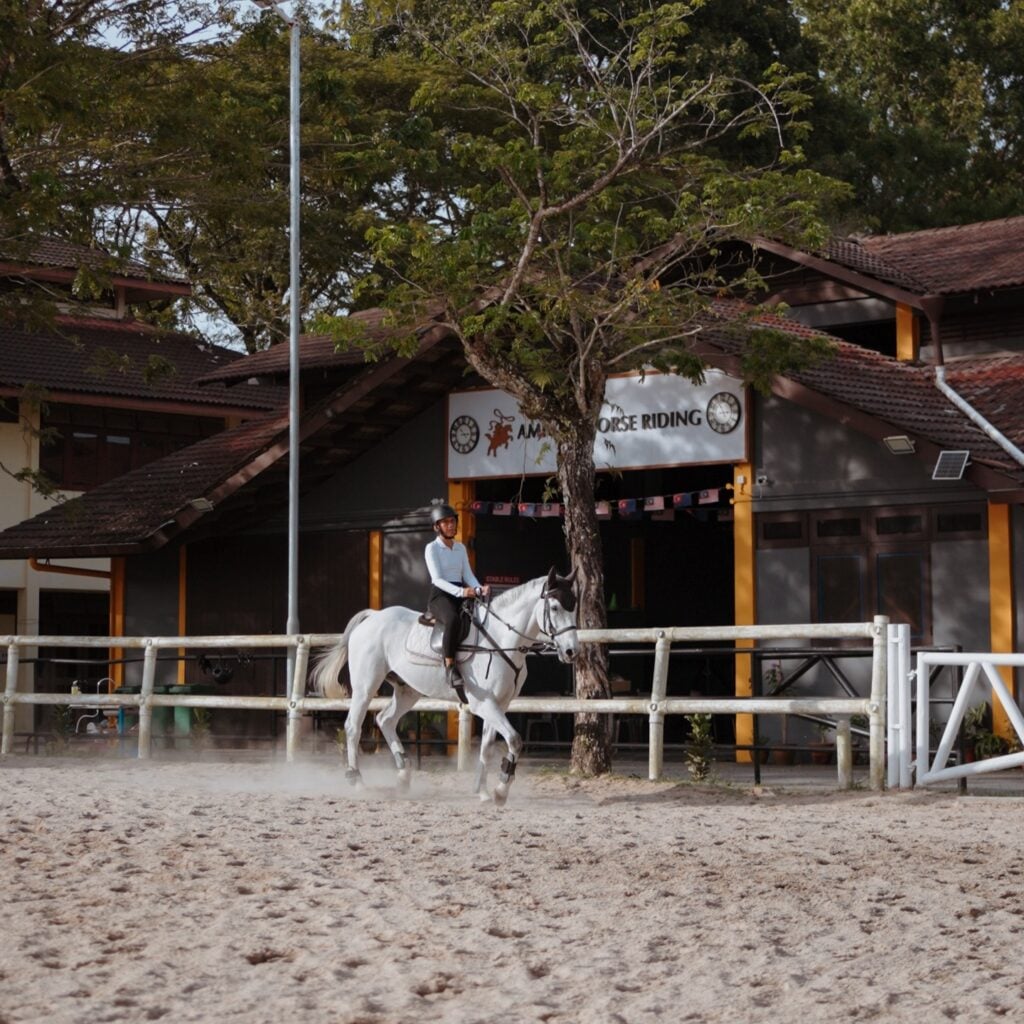 Amigos Riding School In JB Has Jungle Trail Horse Rides