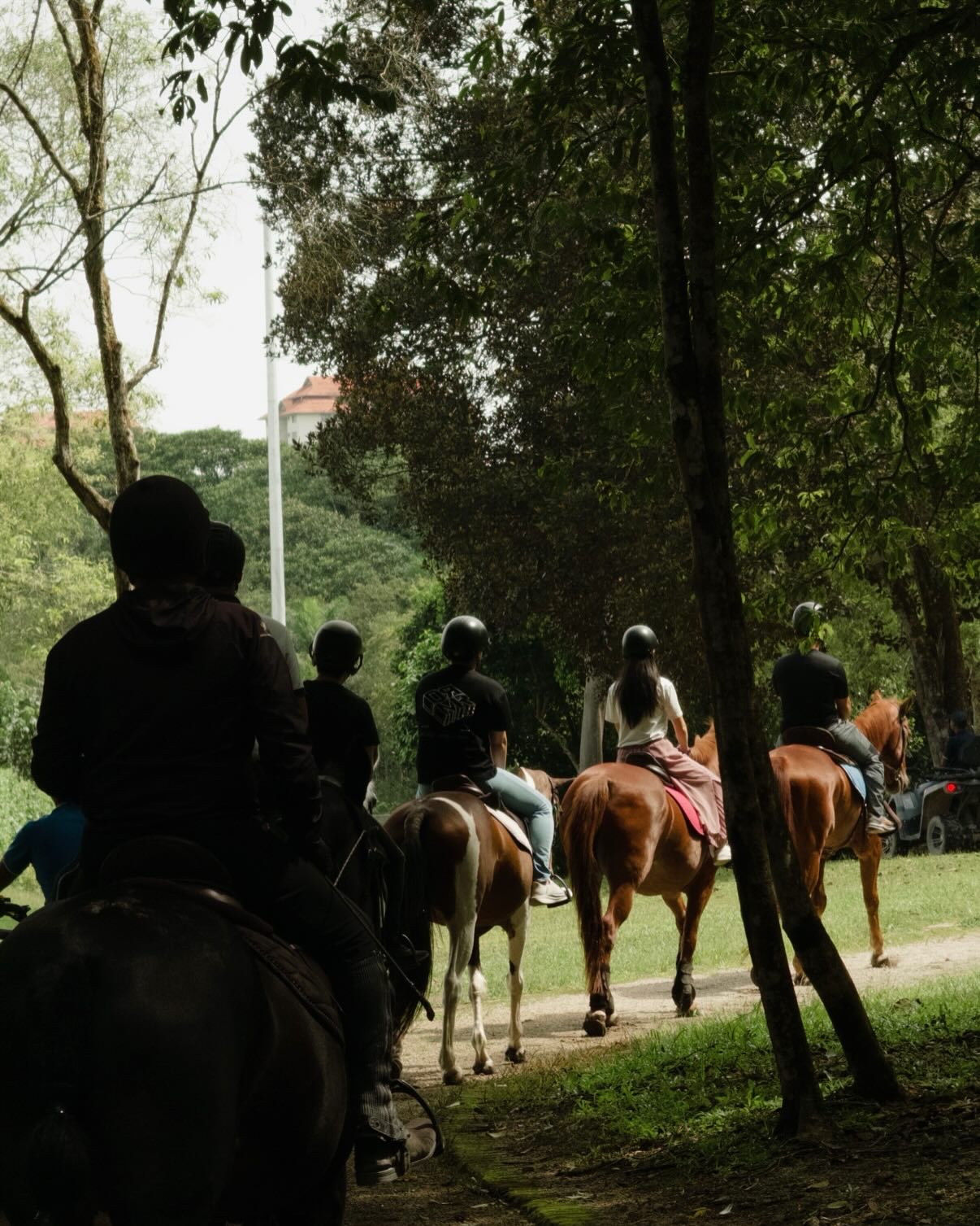 amigos horse riding jb - jungle trail