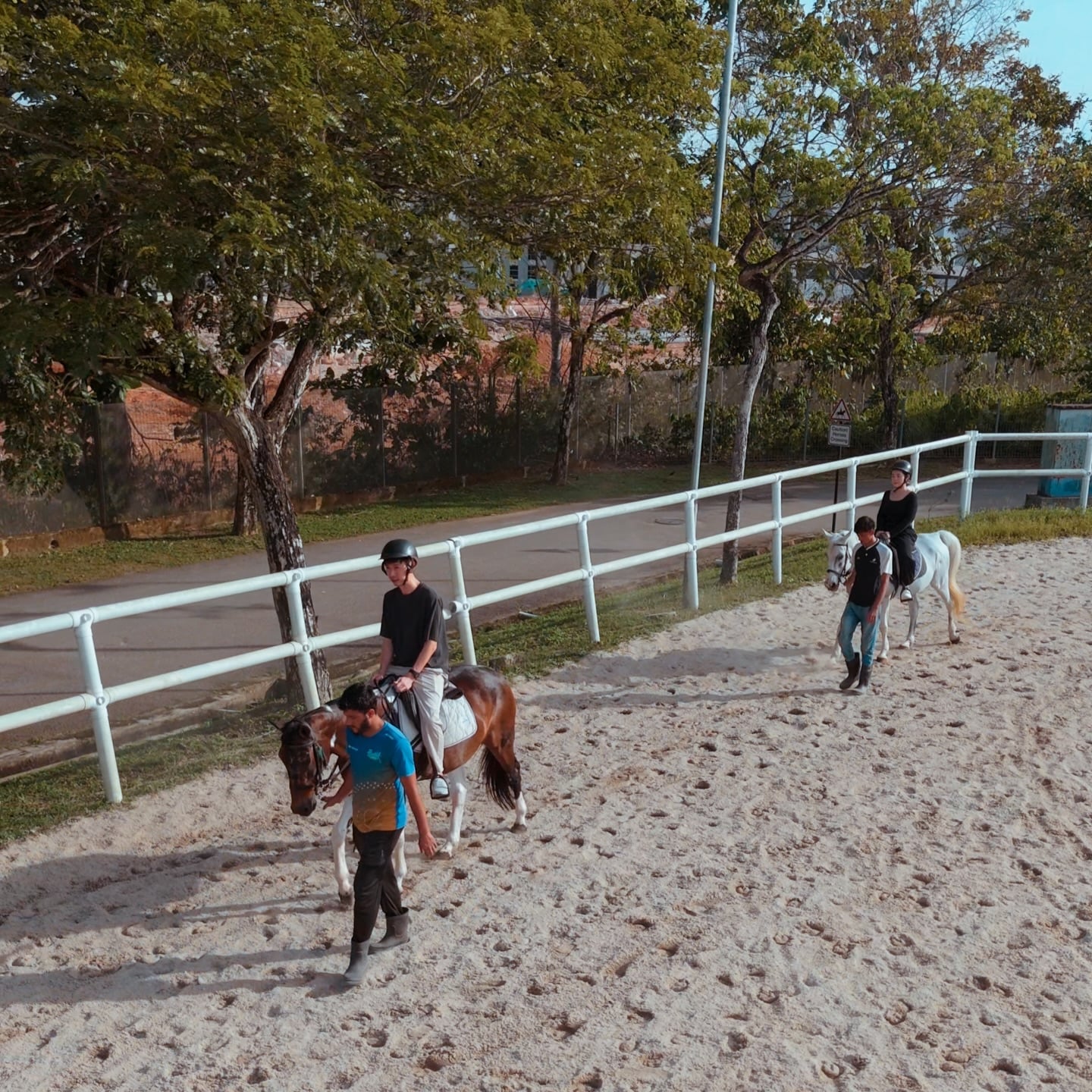 amigos horse riding jb - paddock riding