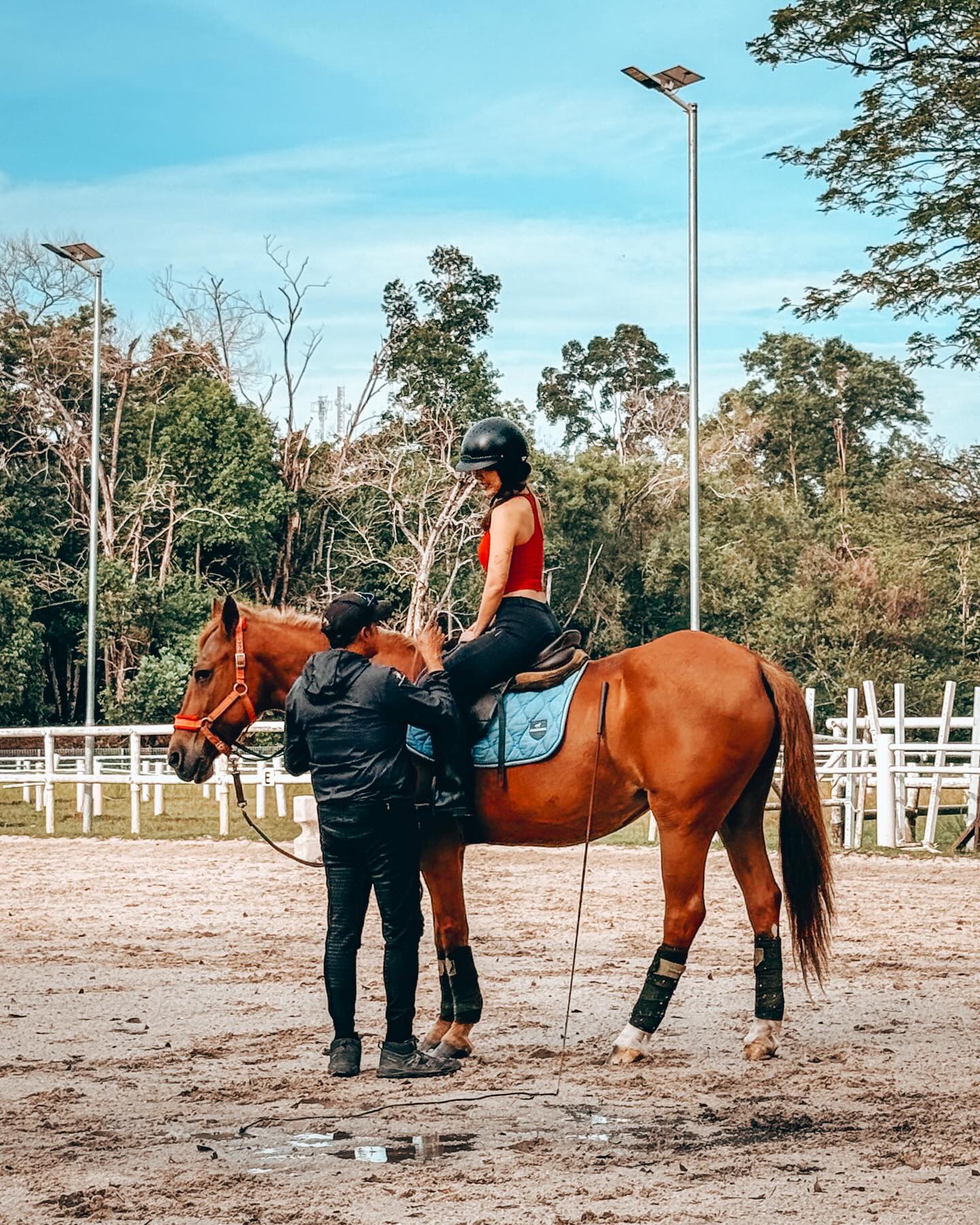 amigos horse riding jb - riding lesson