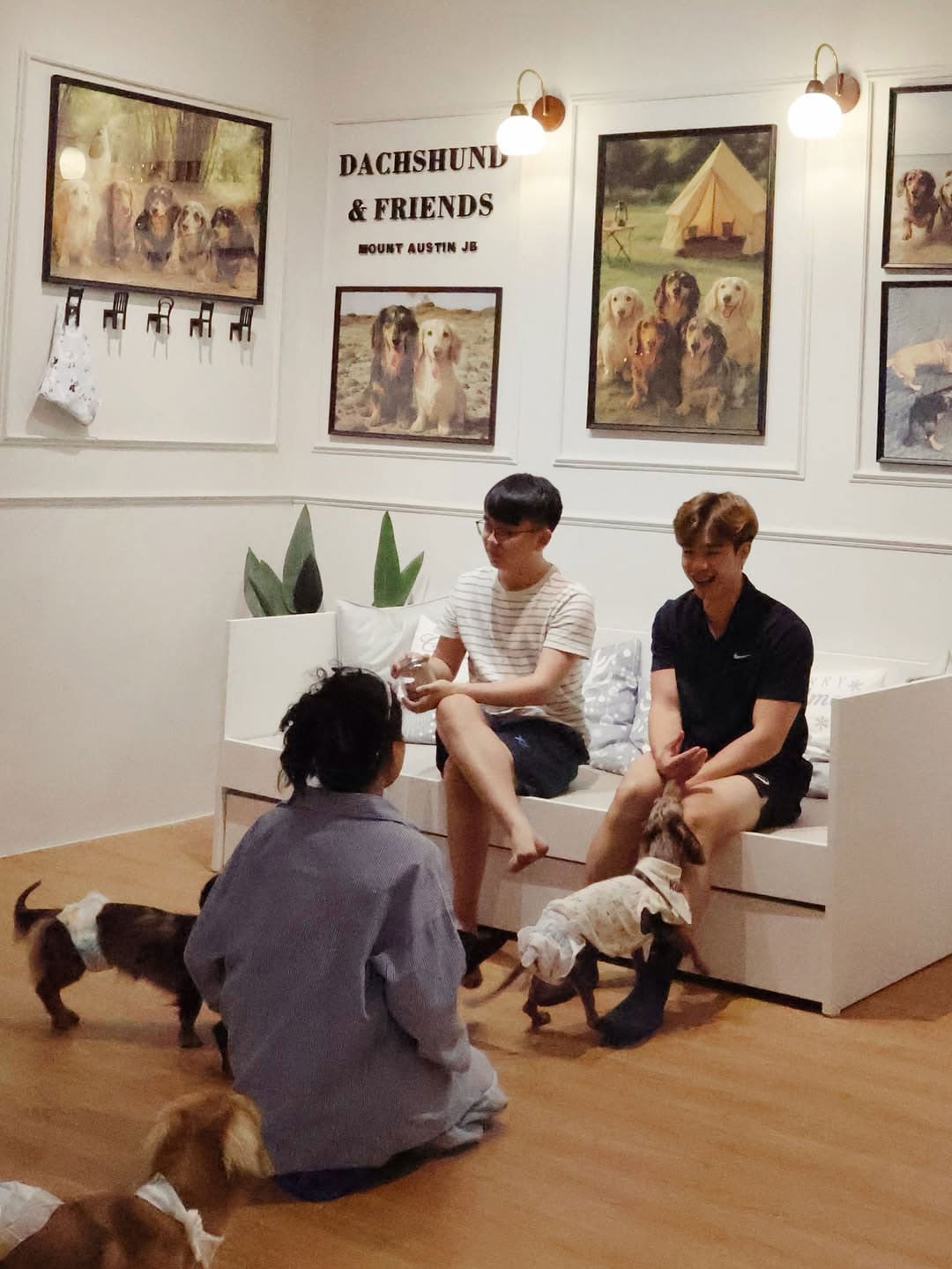 dachshund and friends