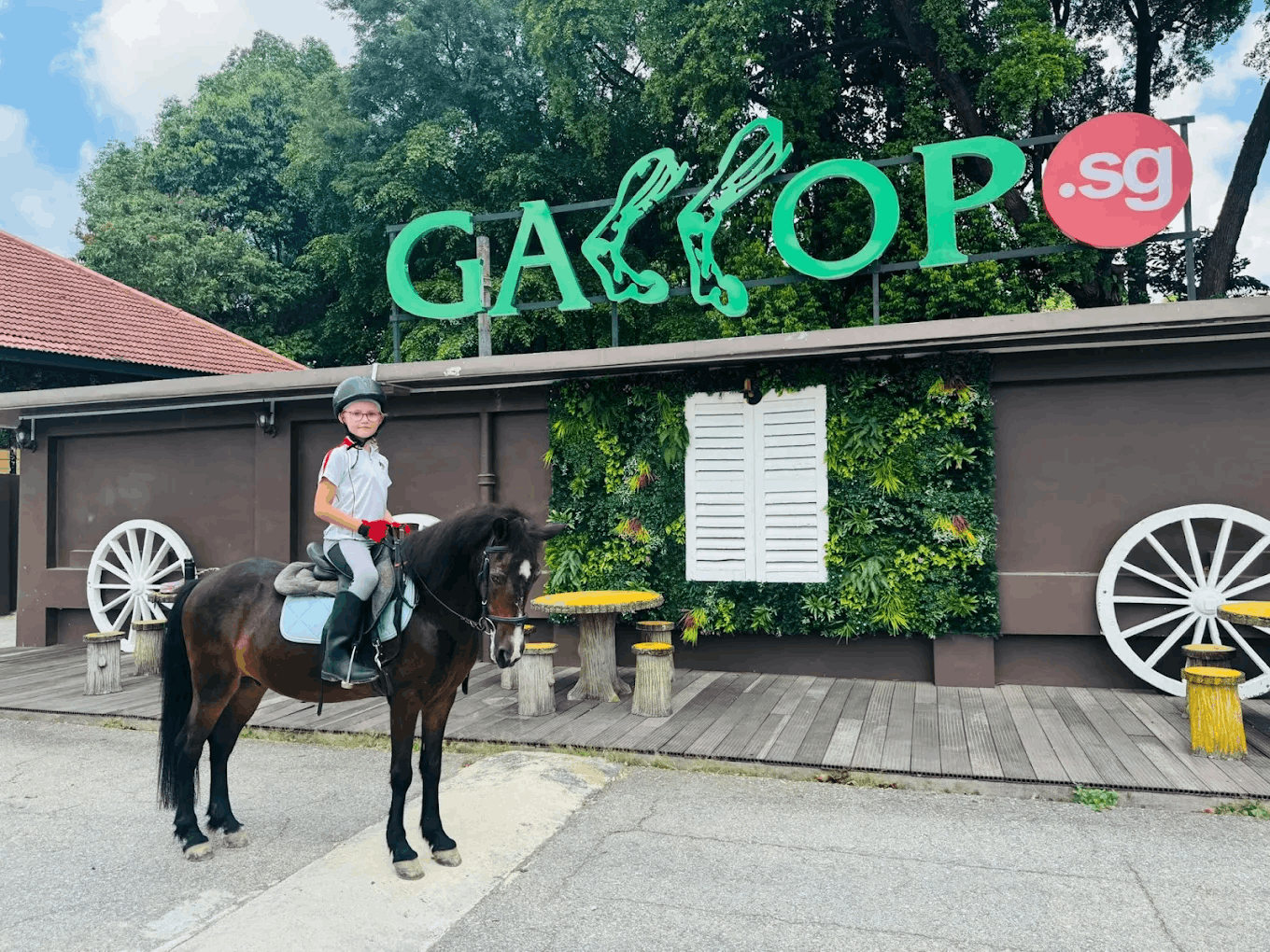 gallop stable horse riding