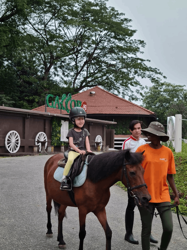 gallop stable pony joy ride