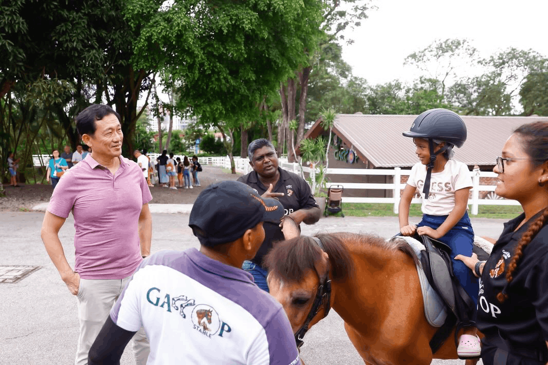 what is gallop stable? ong yekung visit