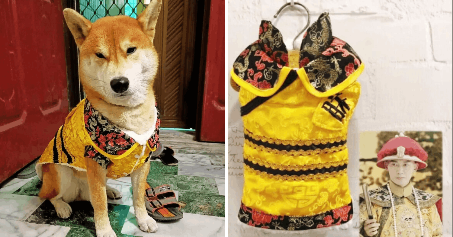 dog clothes & costumes for cny - emperor costume