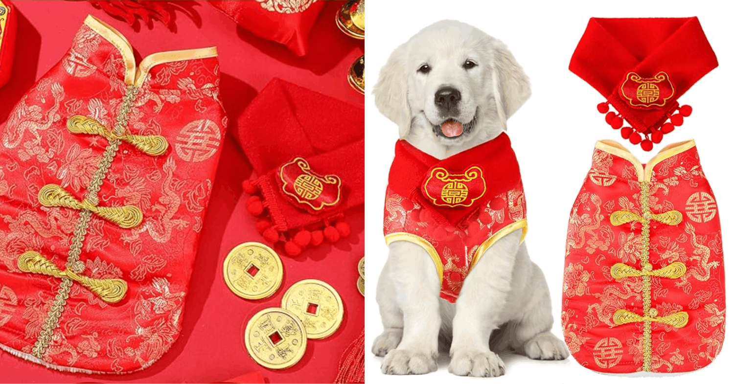 dog clothes & costumes for cny - tang suit 