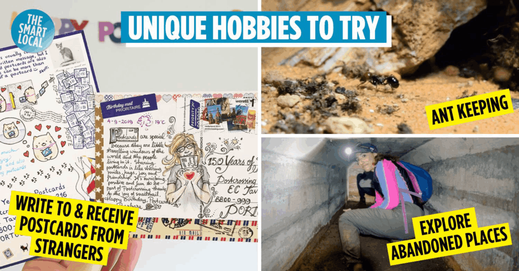 Niche hobbies in Singapore - cover