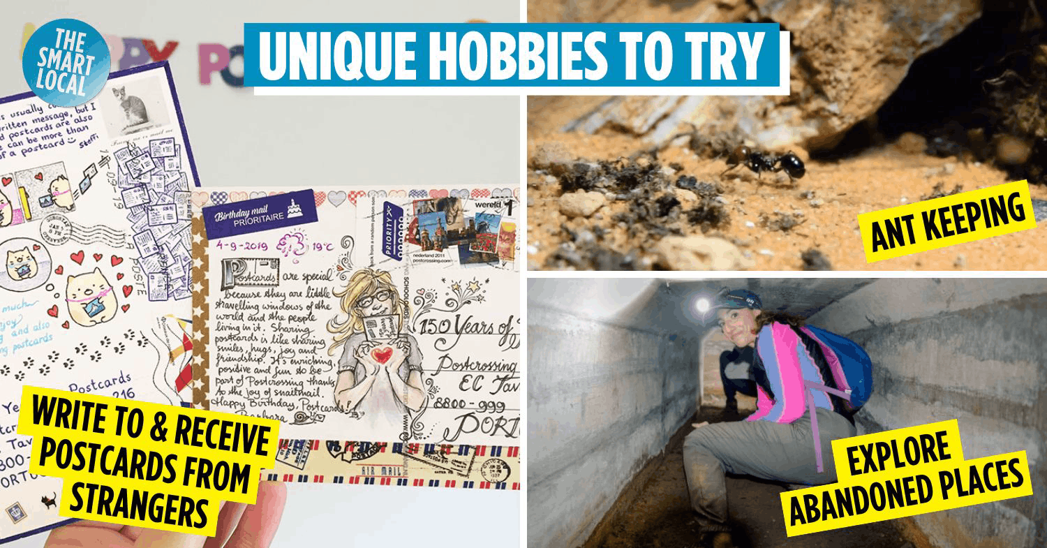 Niche hobbies in Singapore - cover