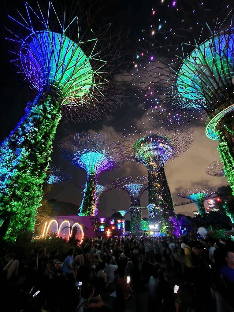 Chinese New Year 2026 events in Singapore - Spring Blossoms at Supertree Grove