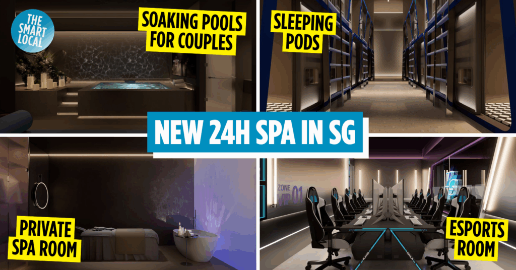 House+ Bubble cover image