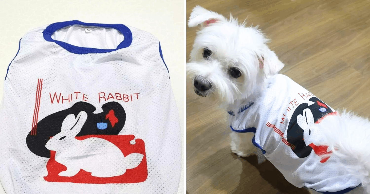 dog clothes & costumes for cny - white rabbit sweet