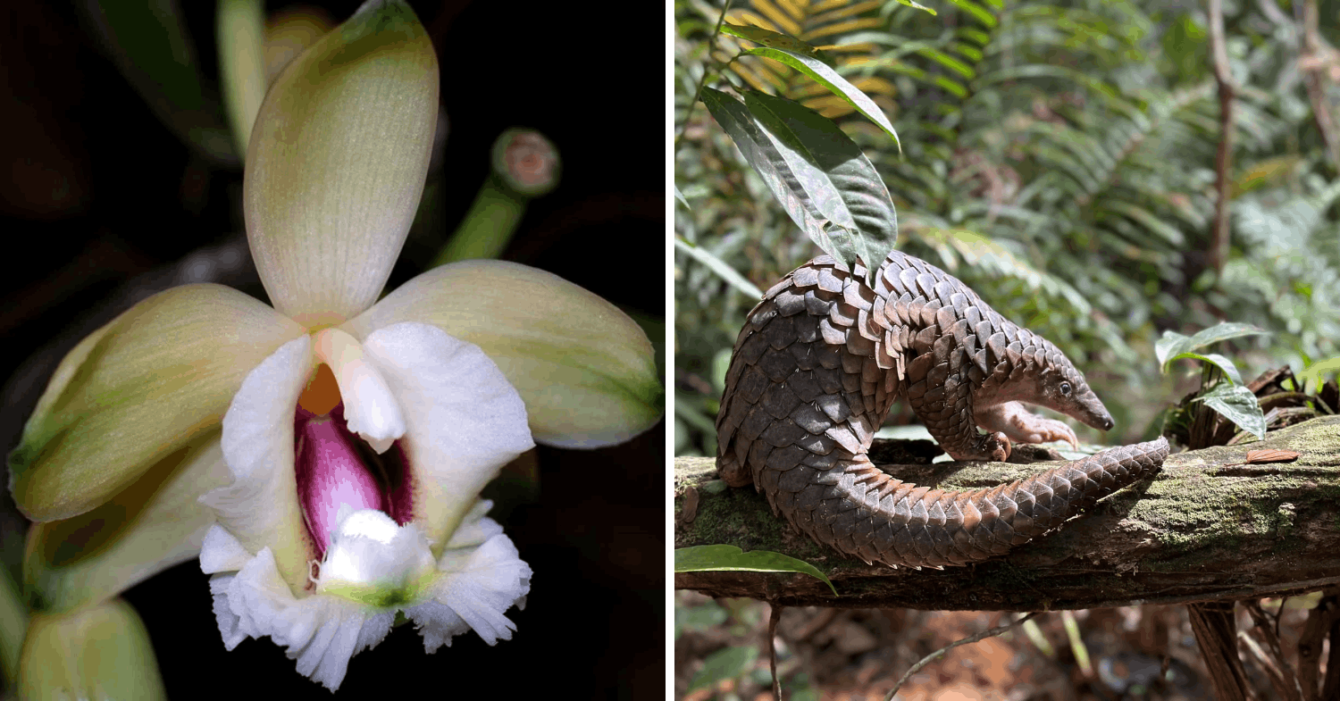 new parks opening soon in singapore, bukit timah turf city 