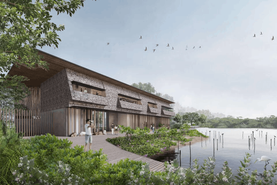 new parks opening soon in singapore, mandai mangrove & mudflat nature park