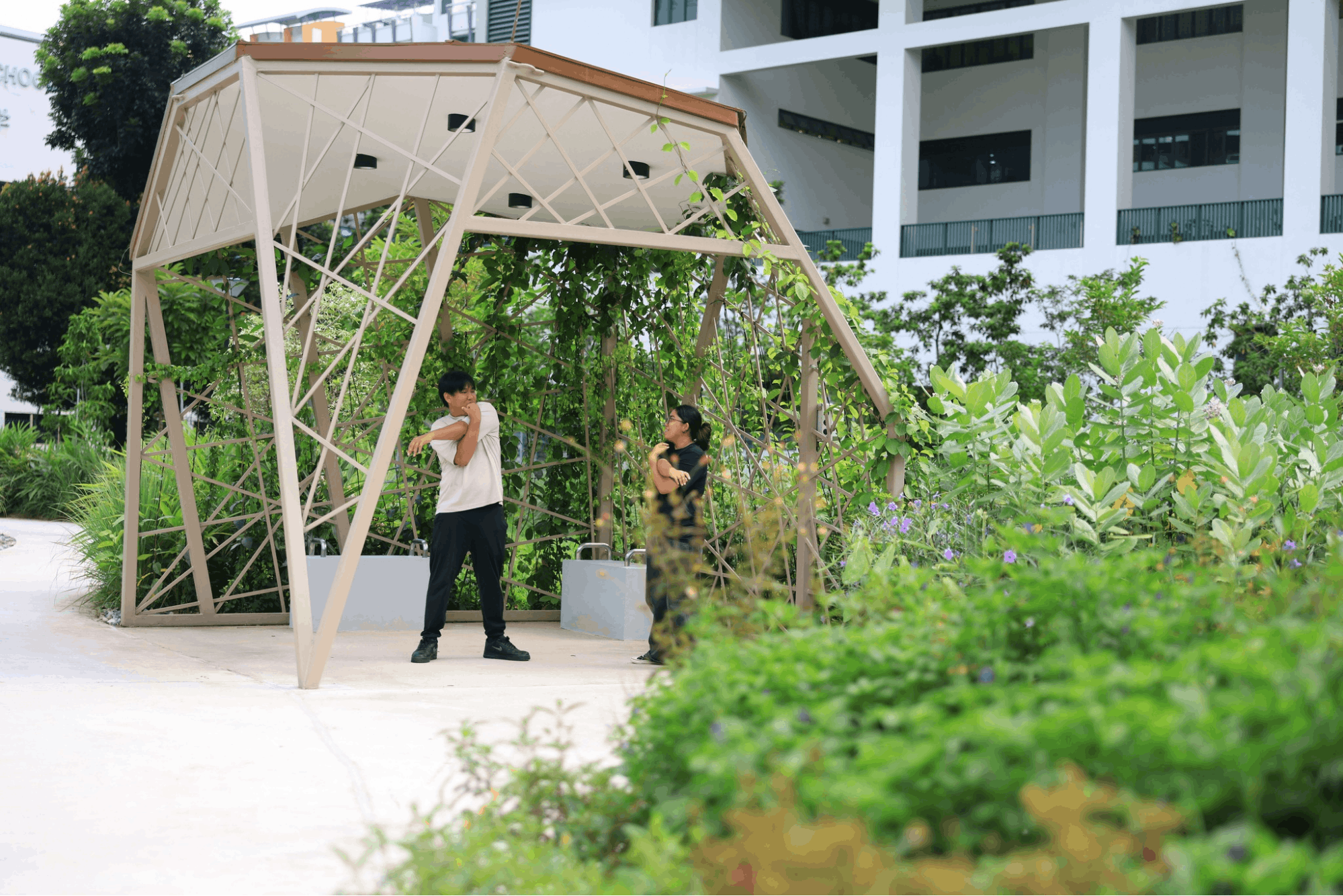 new parks opening soon in singapore, compassvale walk park