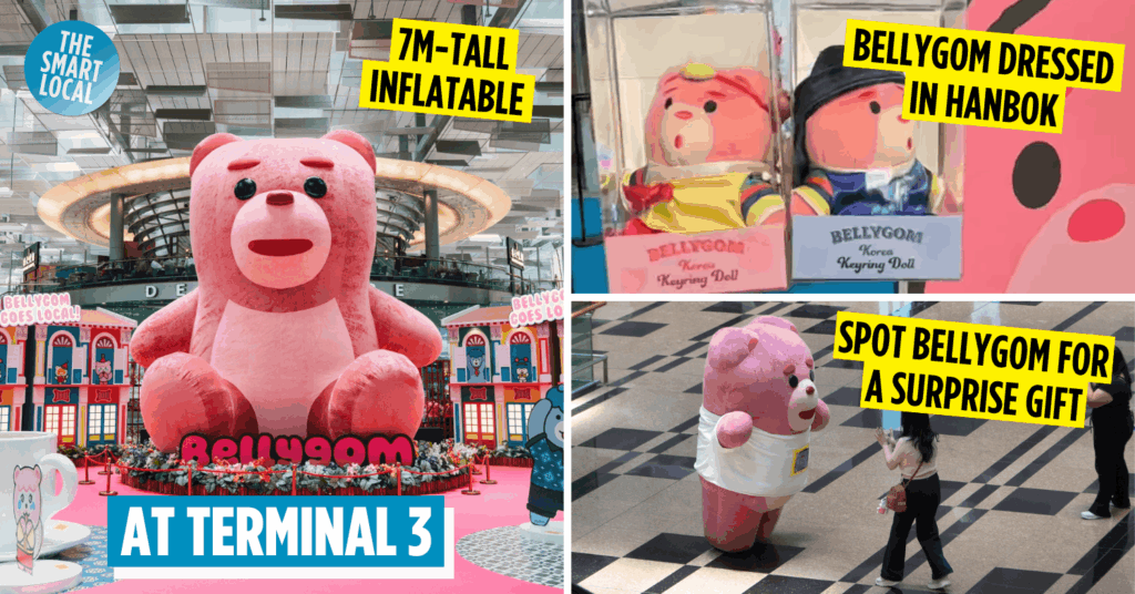 Bellygom at Changi Airport - cover image