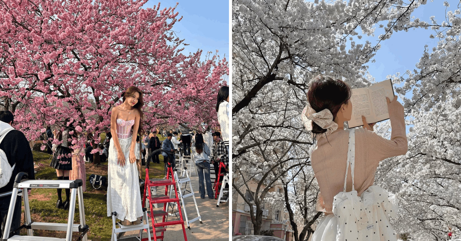 People posing with cherry blossoms