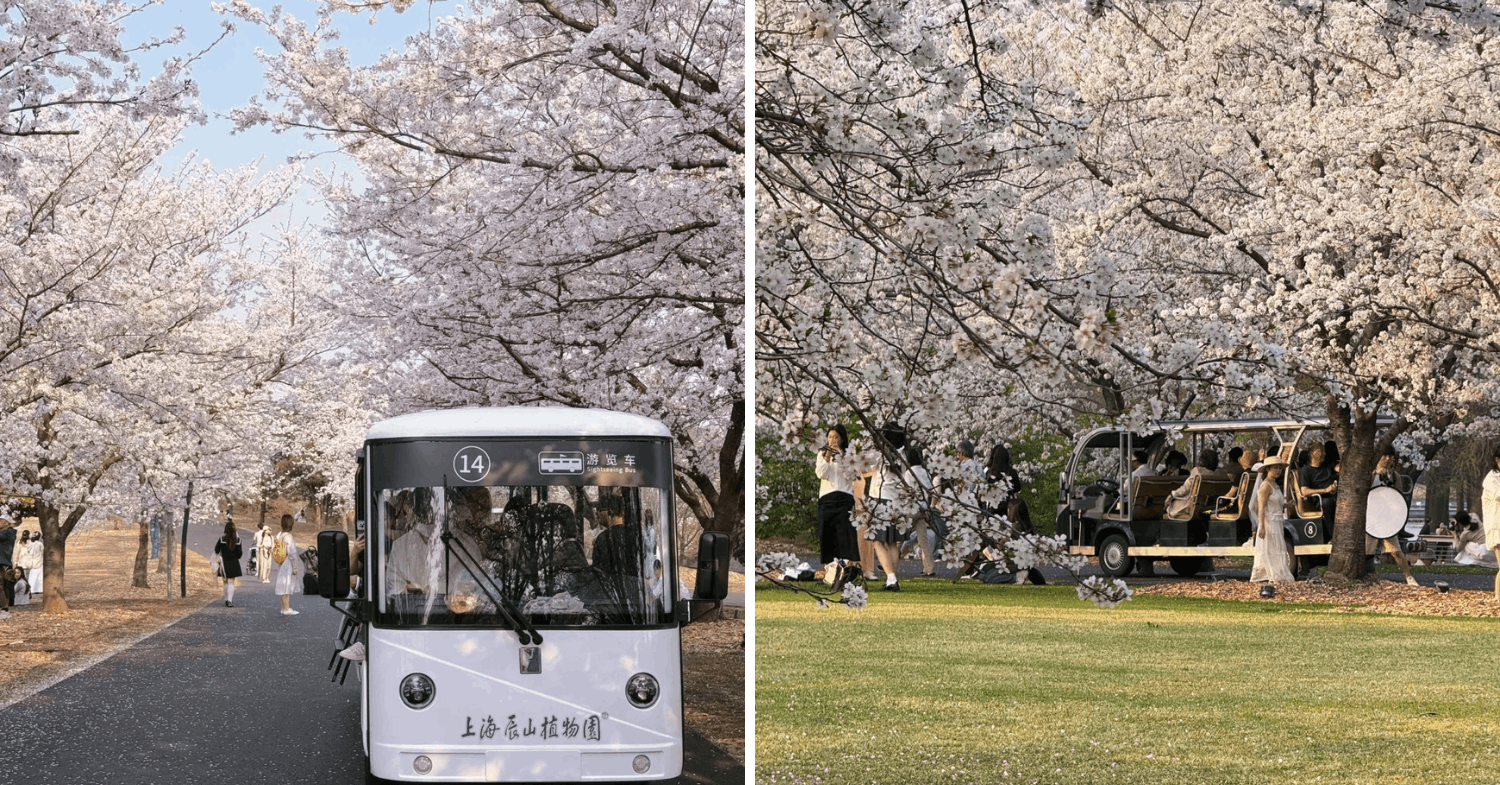 Chenshan Botanical Garden