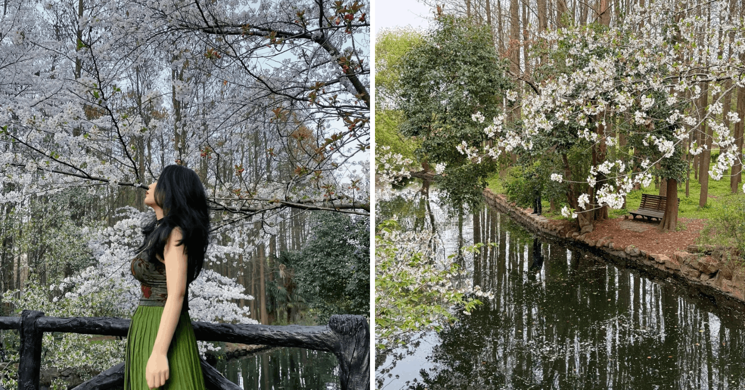 Gongqing Forest Park