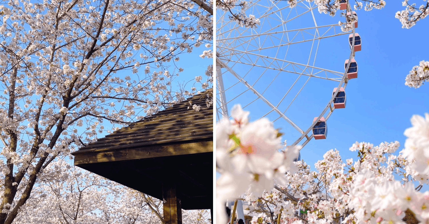 Gucun Park Ferris wheel