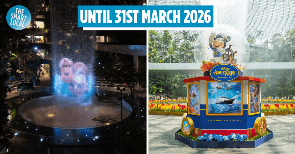 DISNEY CRUISE LIGHT SHOW - COVER