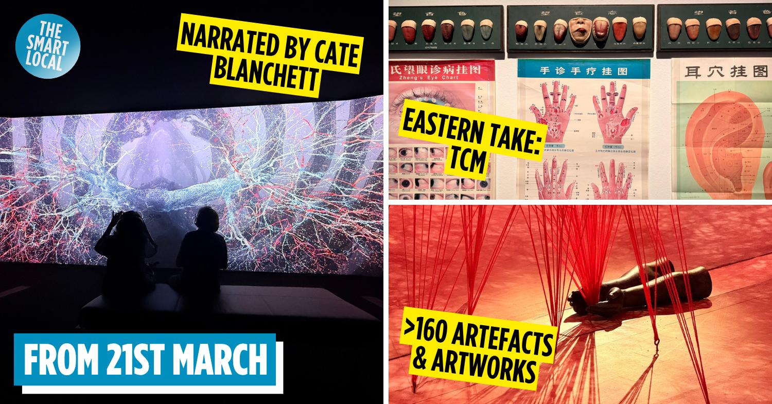 ArtScience Museum’s New Anatomy Exhibition Is Not Your Typical Science Lesson, Here’s What To Expect