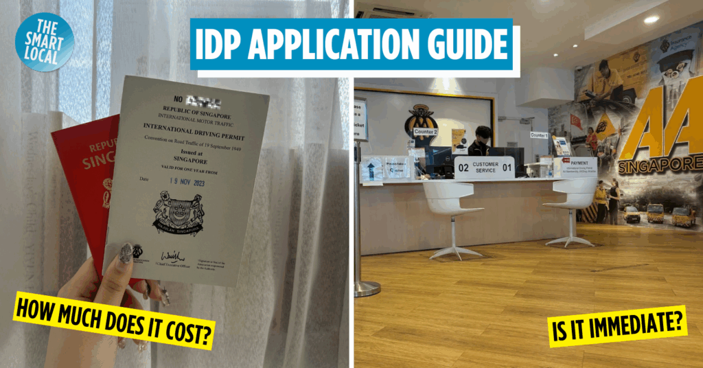 International Driving Permit Cover