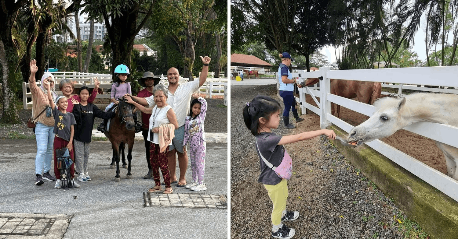 March Holiday Activities - Gallop Stable