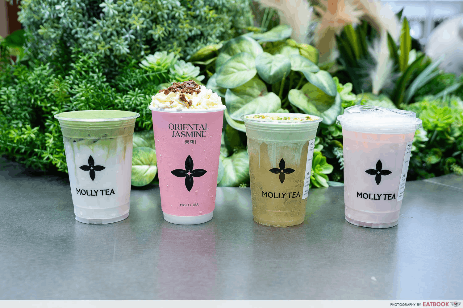 NCNR MARCH 2026 - Molly Tea