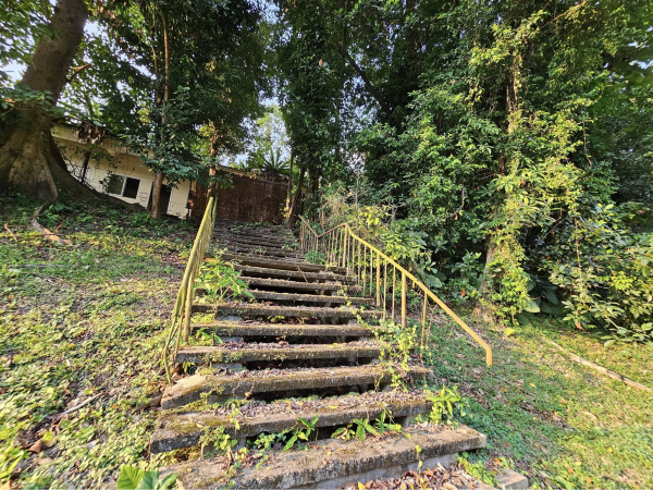 OLD SWISS COTTAGE - STAIRS ALONG DUNEARN ROAD