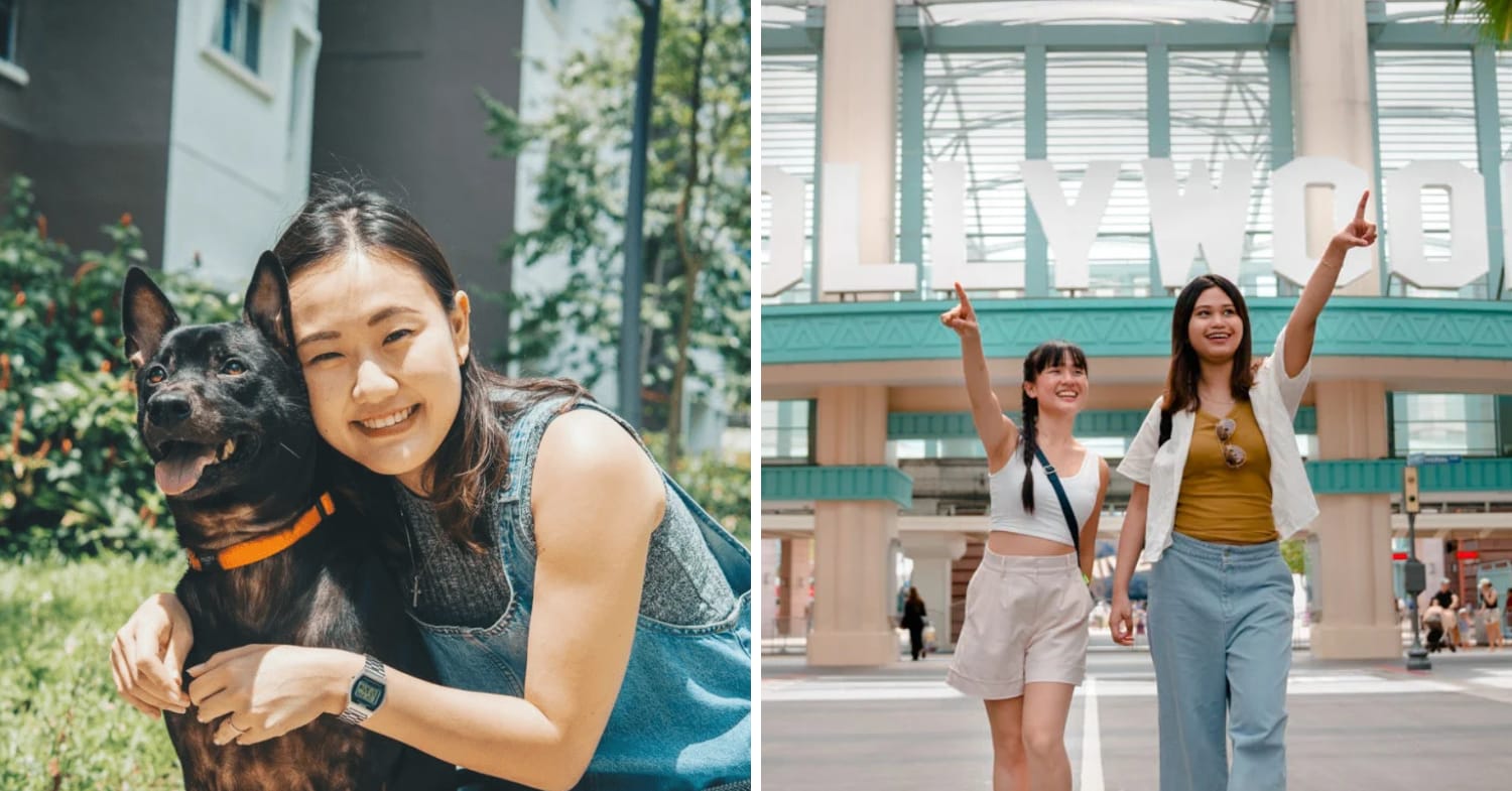 PAWS FOR A CAUSE - EXPLORE UNIVERSAL STUDIOS SINGAPORE WITH YOUR DOG