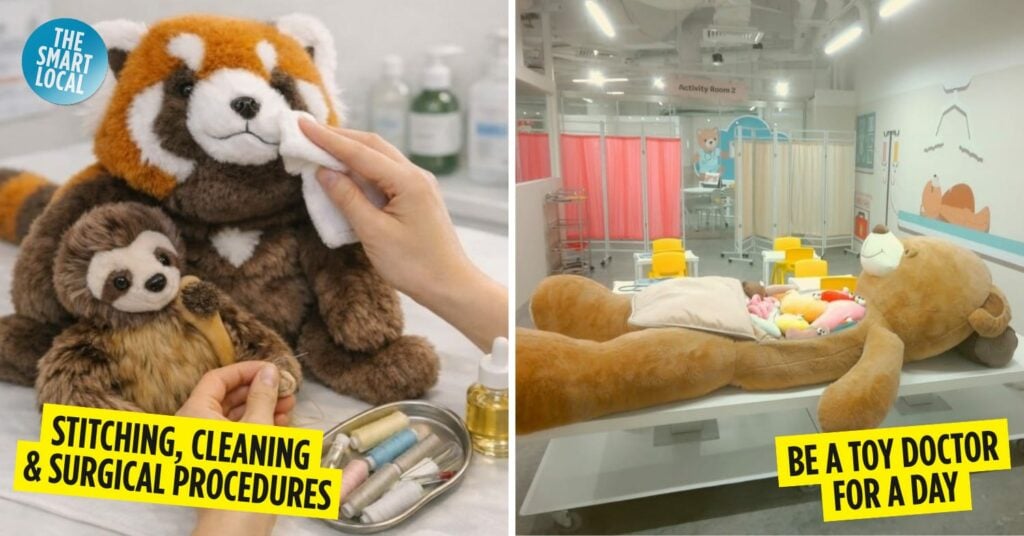 TOY DOCTOR MANDAI WILDLIFE RESORT COVER IMAGE