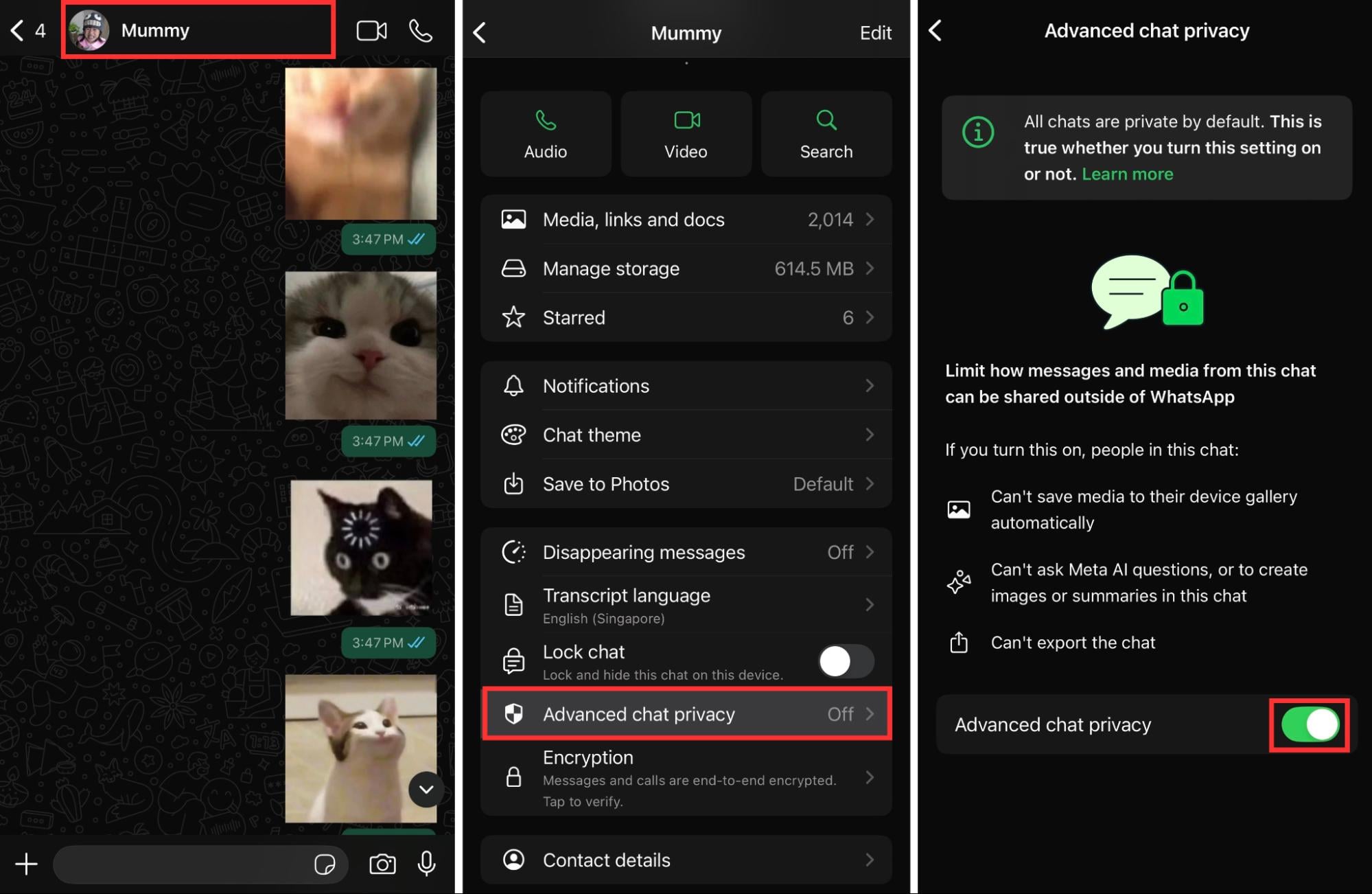 WhatsApp hacks & features - Advanced chat privacy