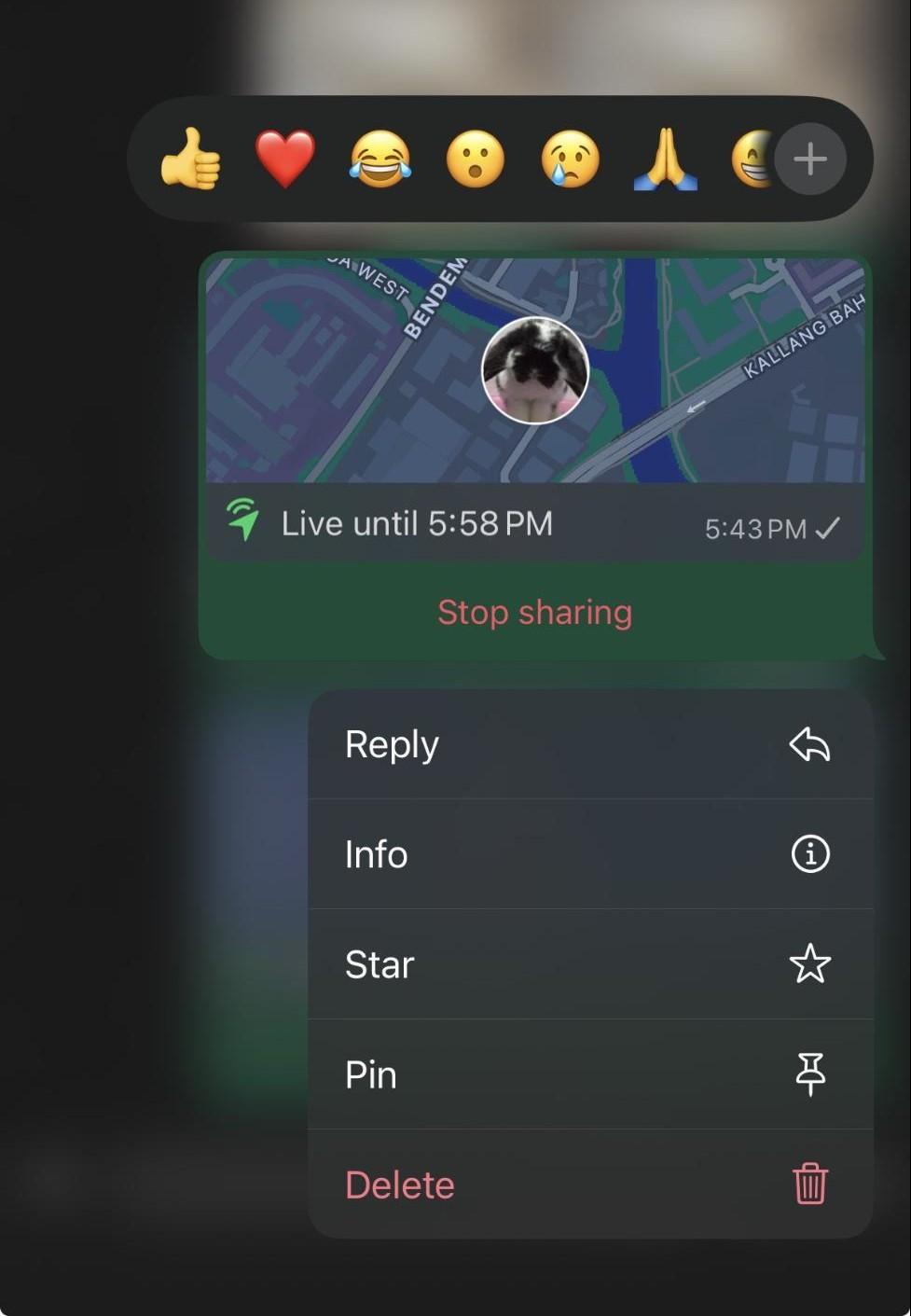 WhatsApp hacks & features - Live location (1)