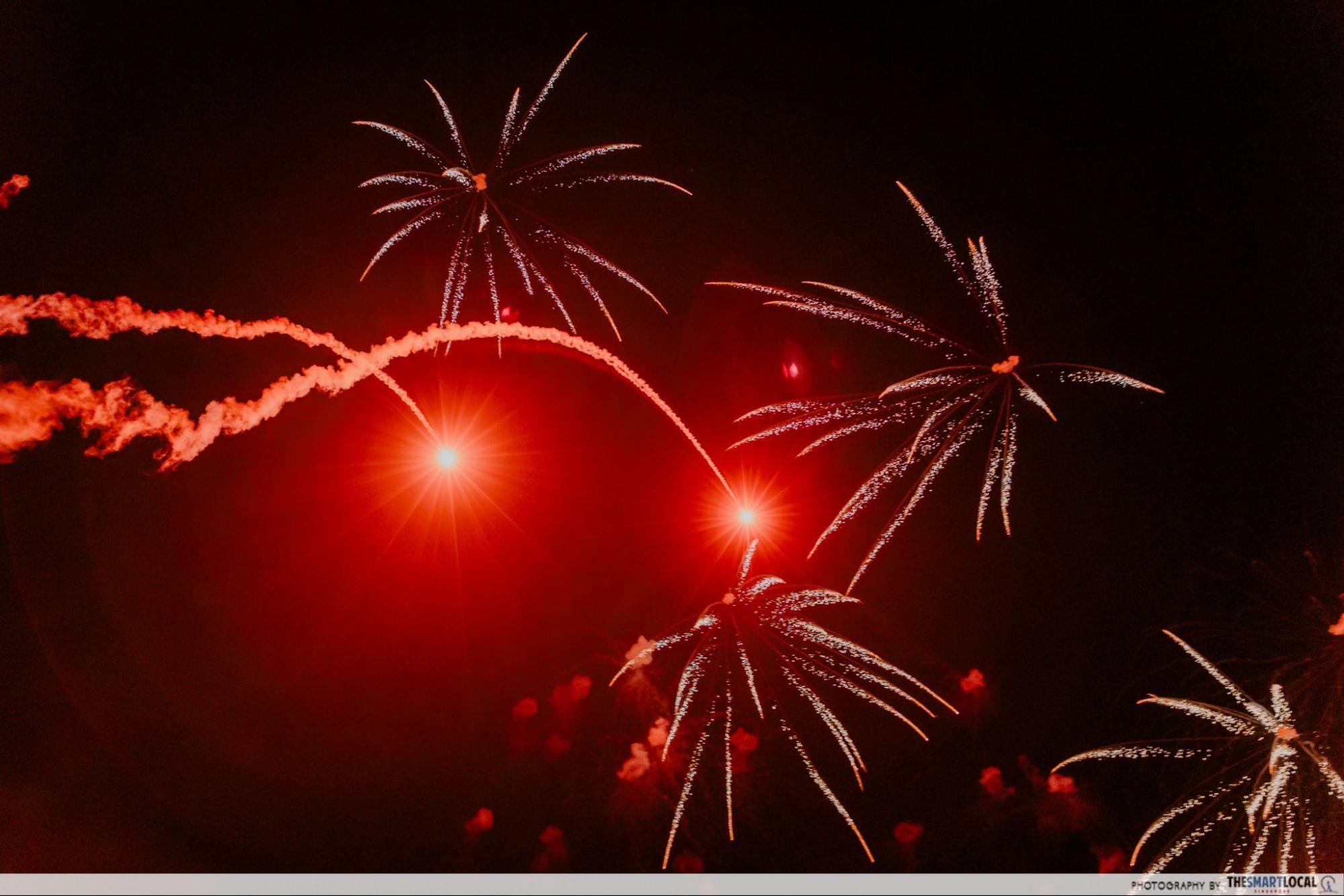 disney adventure cruise - fireworks