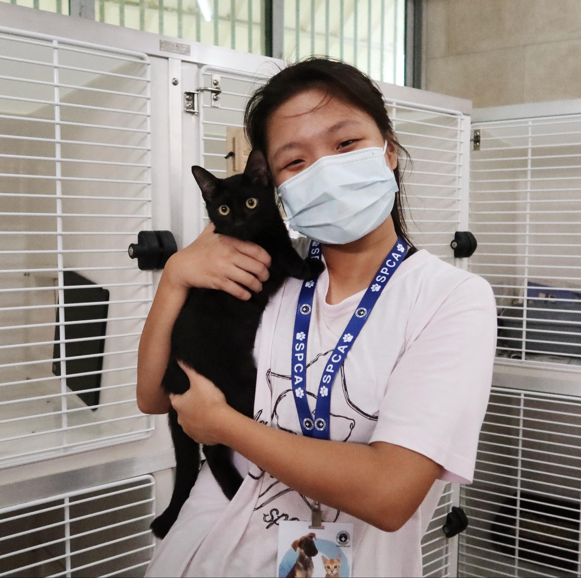free things to do in singapore - volunteer with spca