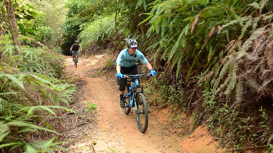 free things to do in singapore - bukit timah mountain biking trail