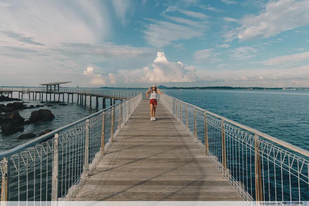 free things to do in singapore - chek jawa