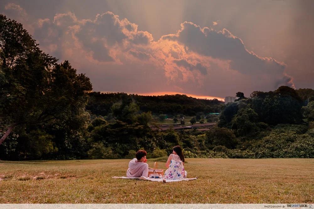 free things to do in singapore - picnics