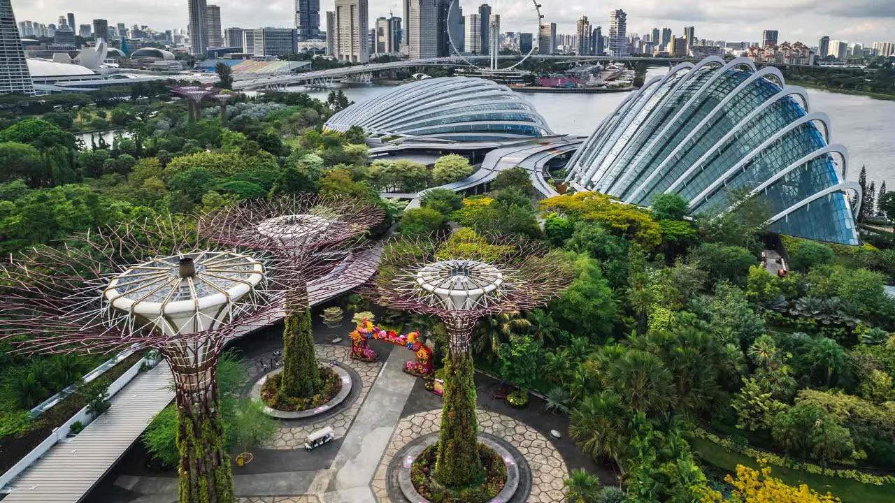 gardens by the bay