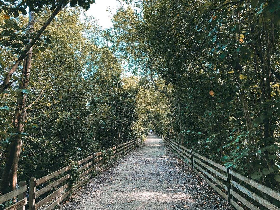 free things to do in singapore - Sungei Buloh