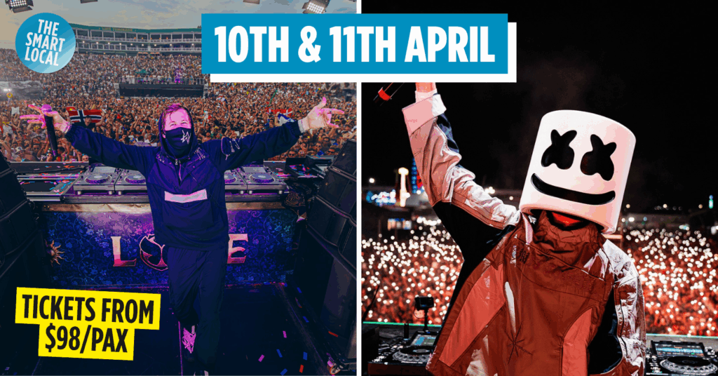 Alan Walker & Marshmello performing in Singapore cover image
