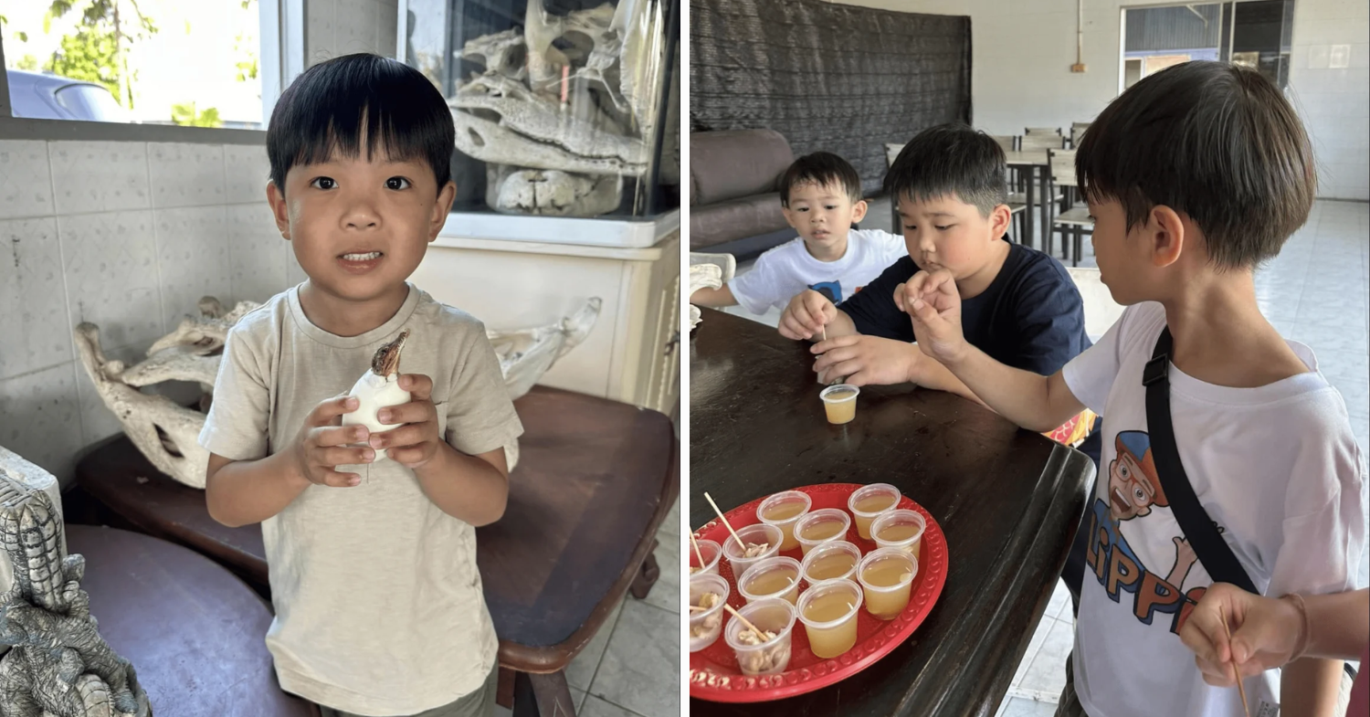 Crocodile farm activities