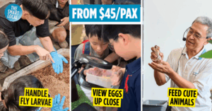 Ento Industries Insect Farm Tour cover image