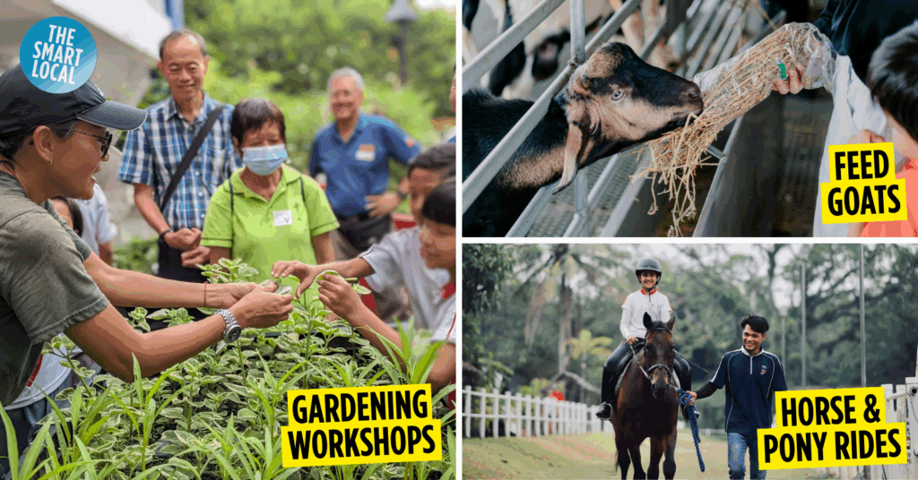 Farms in Singapore cover image