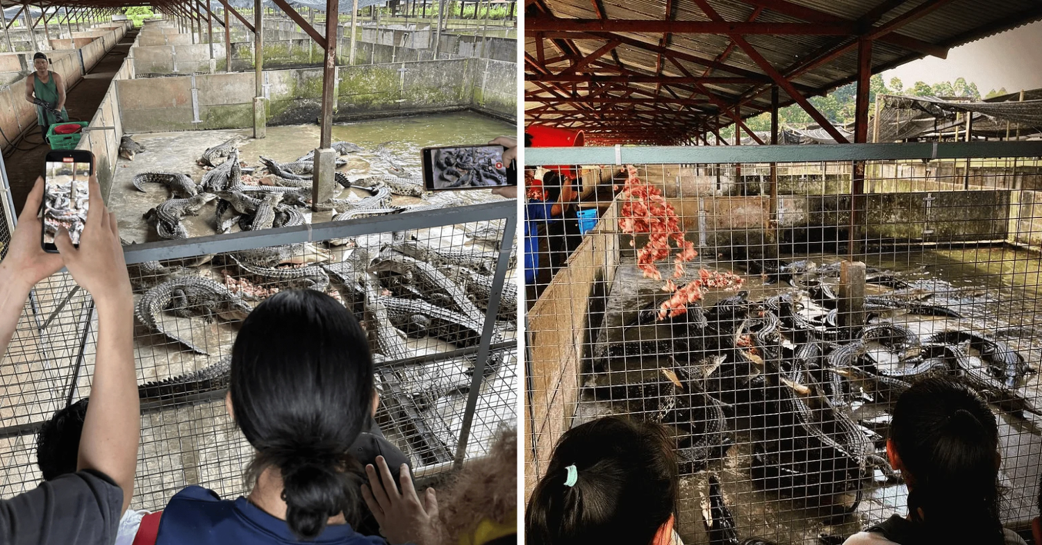 Long Kuan Hung Crocodile Farm