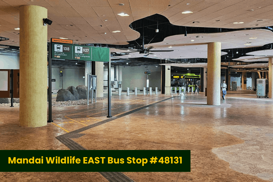 mandai rainforest resort earth month deal mandai wildlife east bus stop 