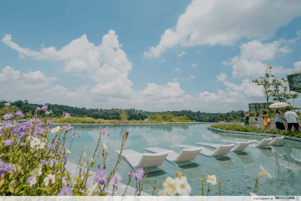 mandai rainforest resort earth month deal 