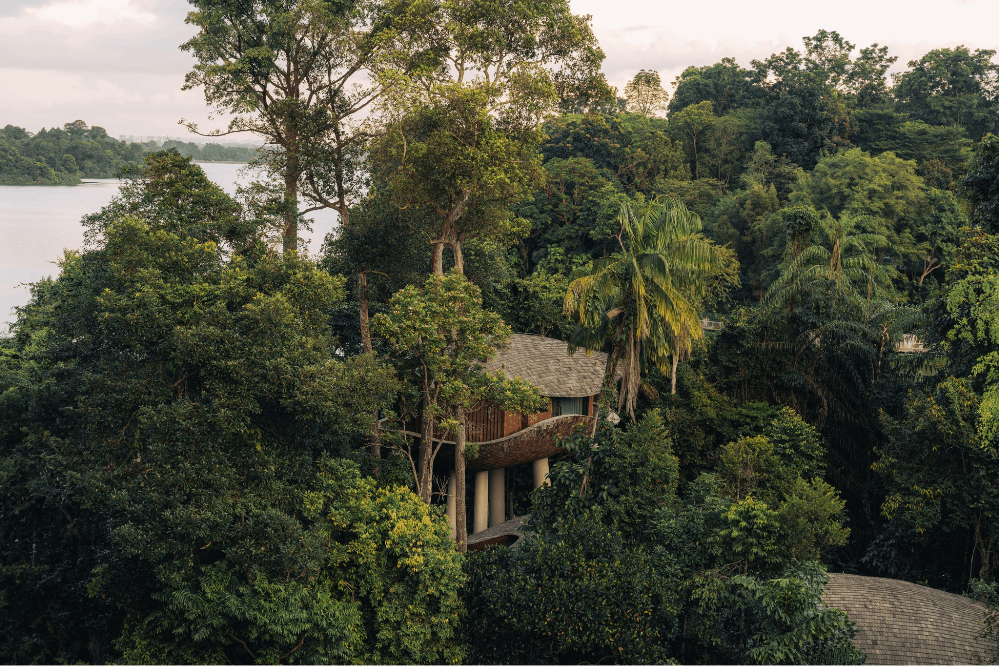 mandai rainforest resort earth month deal 