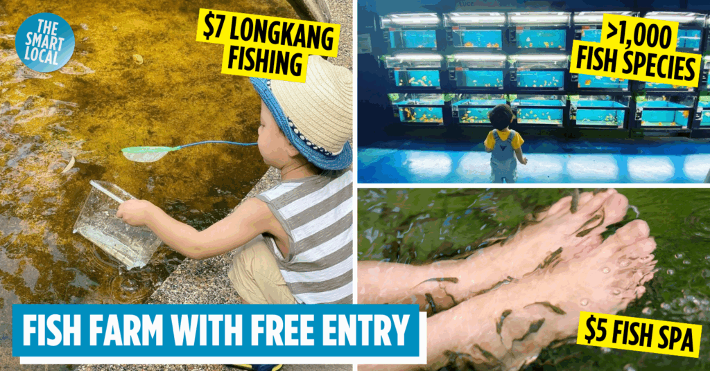 qian hu fish farm_cover