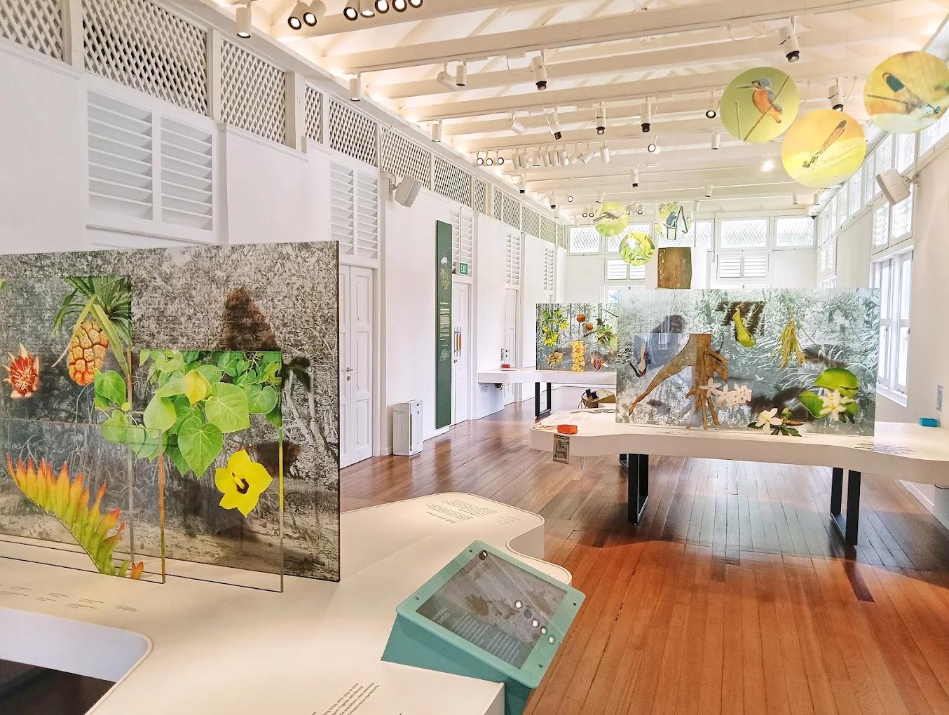 Atbara House - Forest Conservation Gallery